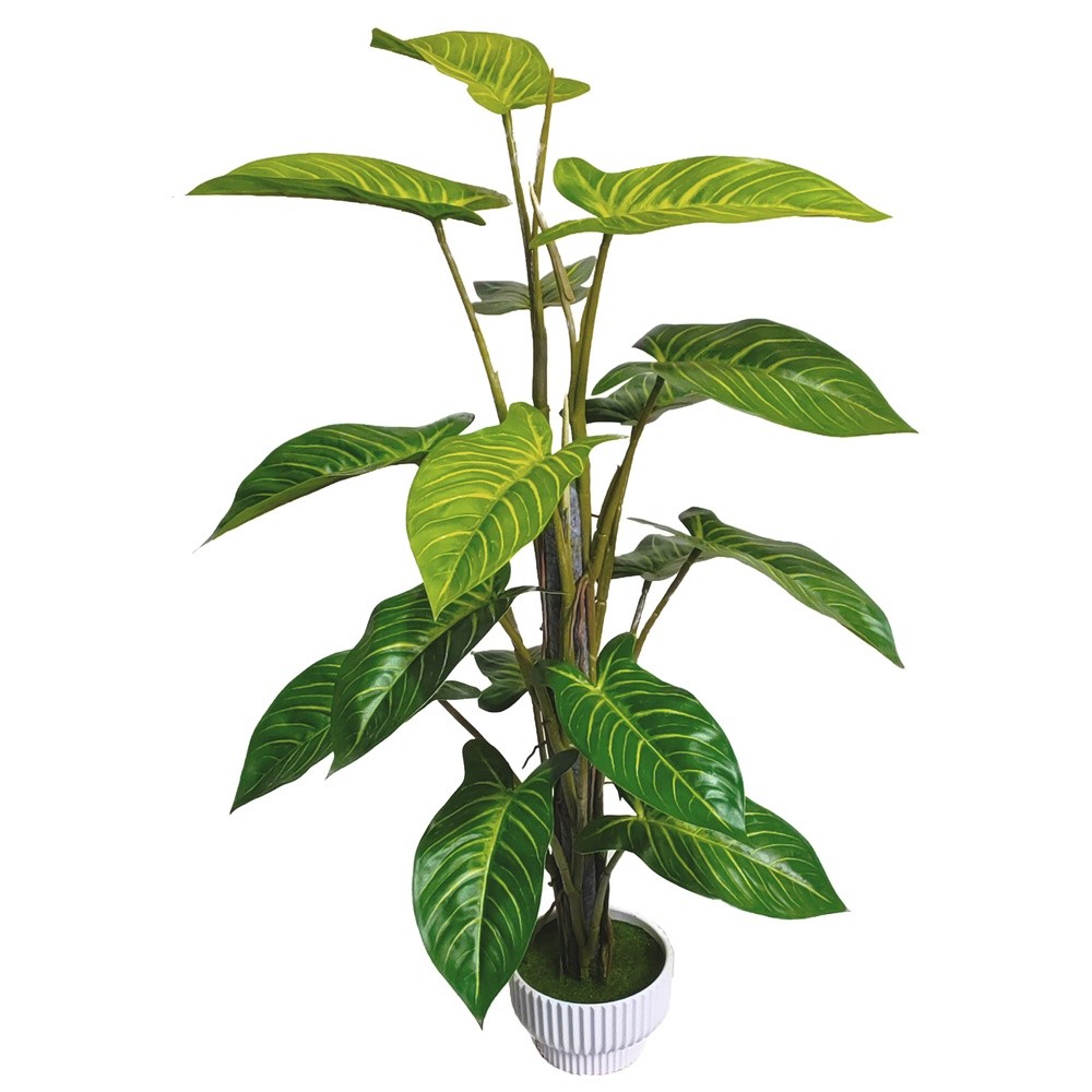 PIC 62760 Pianta Tropicale In Vaso White Stripes 67Cm