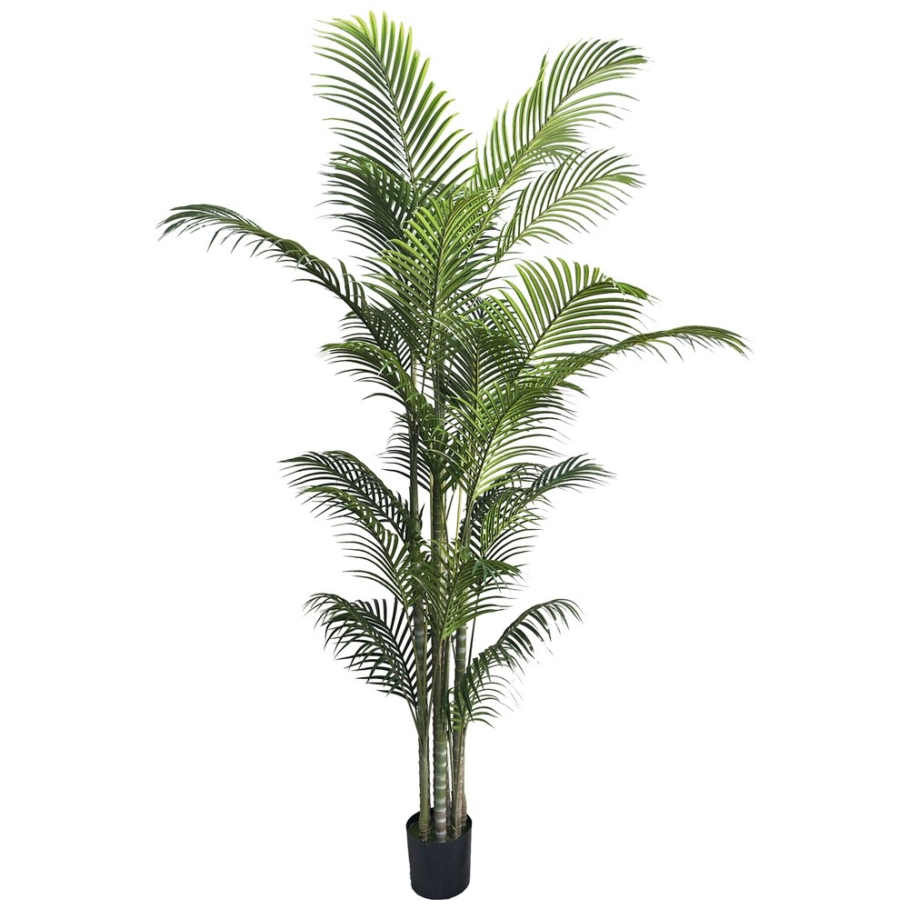 PIC 62761 Palma Green In Vaso 30 Foglie 244Cm
