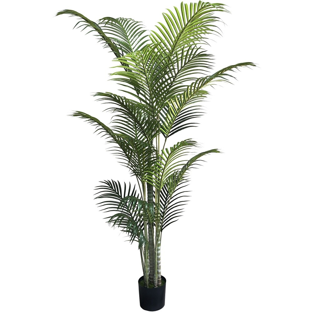 PIC 62762 Palma Green In Vaso 20 Foglie 213Cm