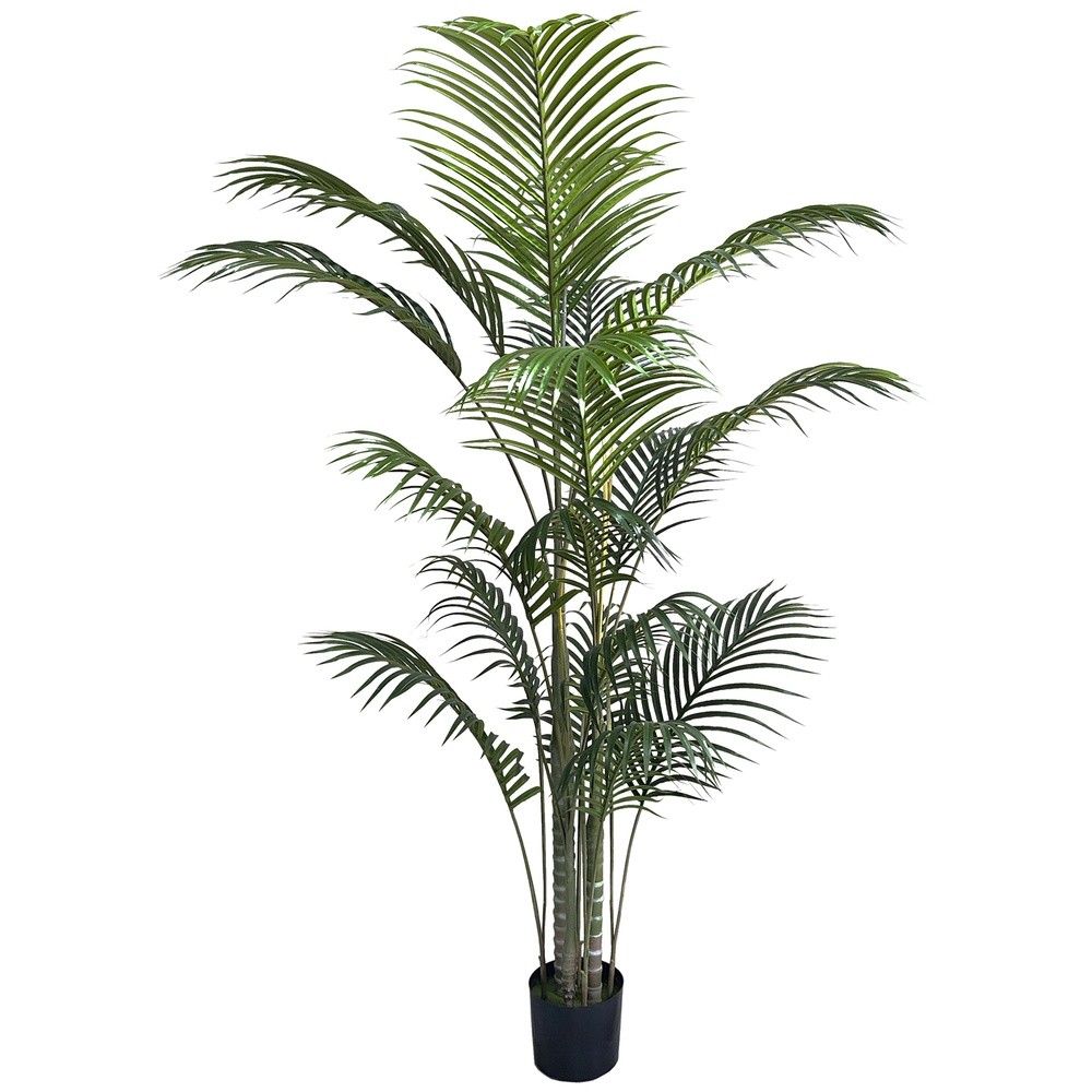 PIC 62763 Palma Green In Vaso 17 Foglie 183Cm