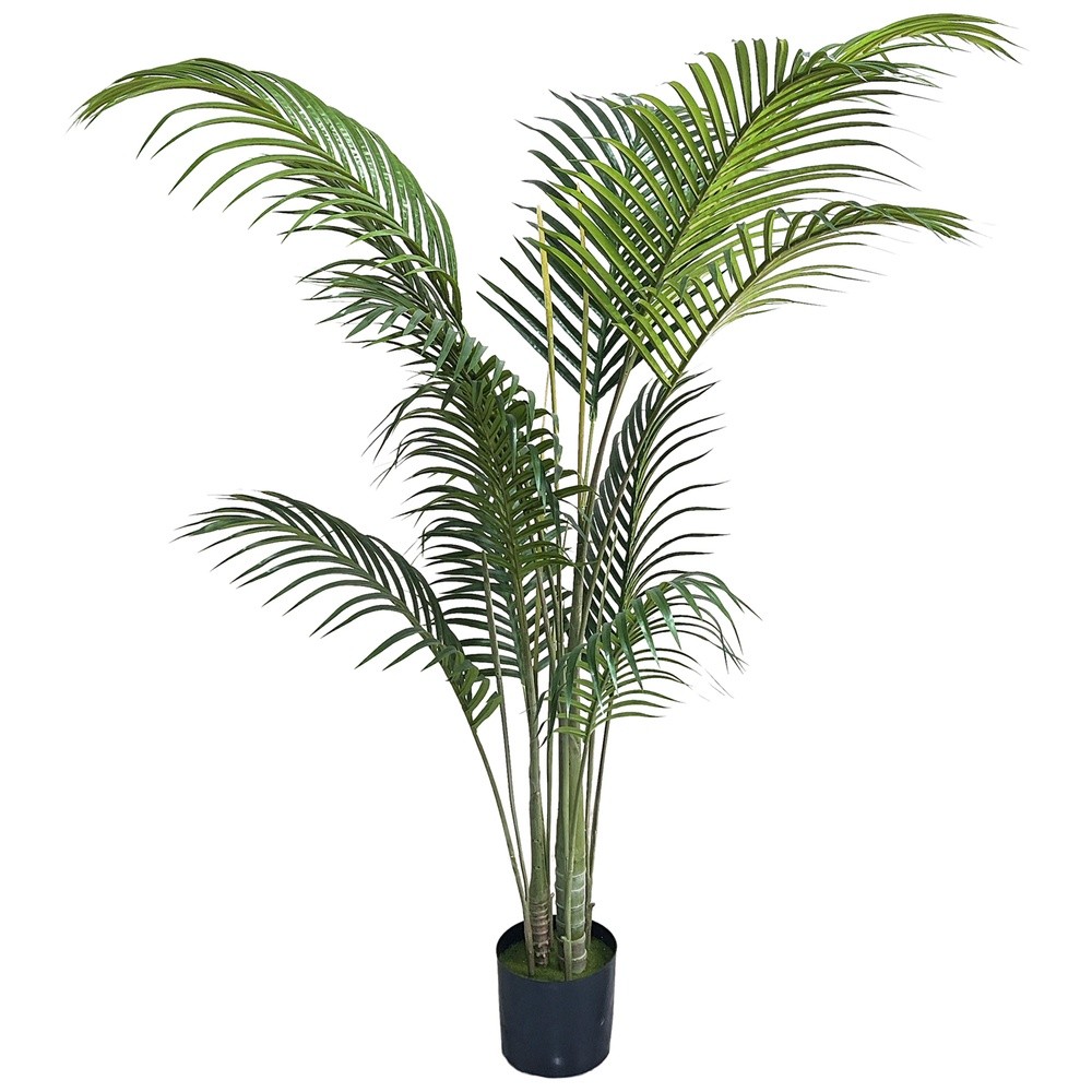 PIC 62764 Palma Green In Vaso 13 Foglie 153Cm