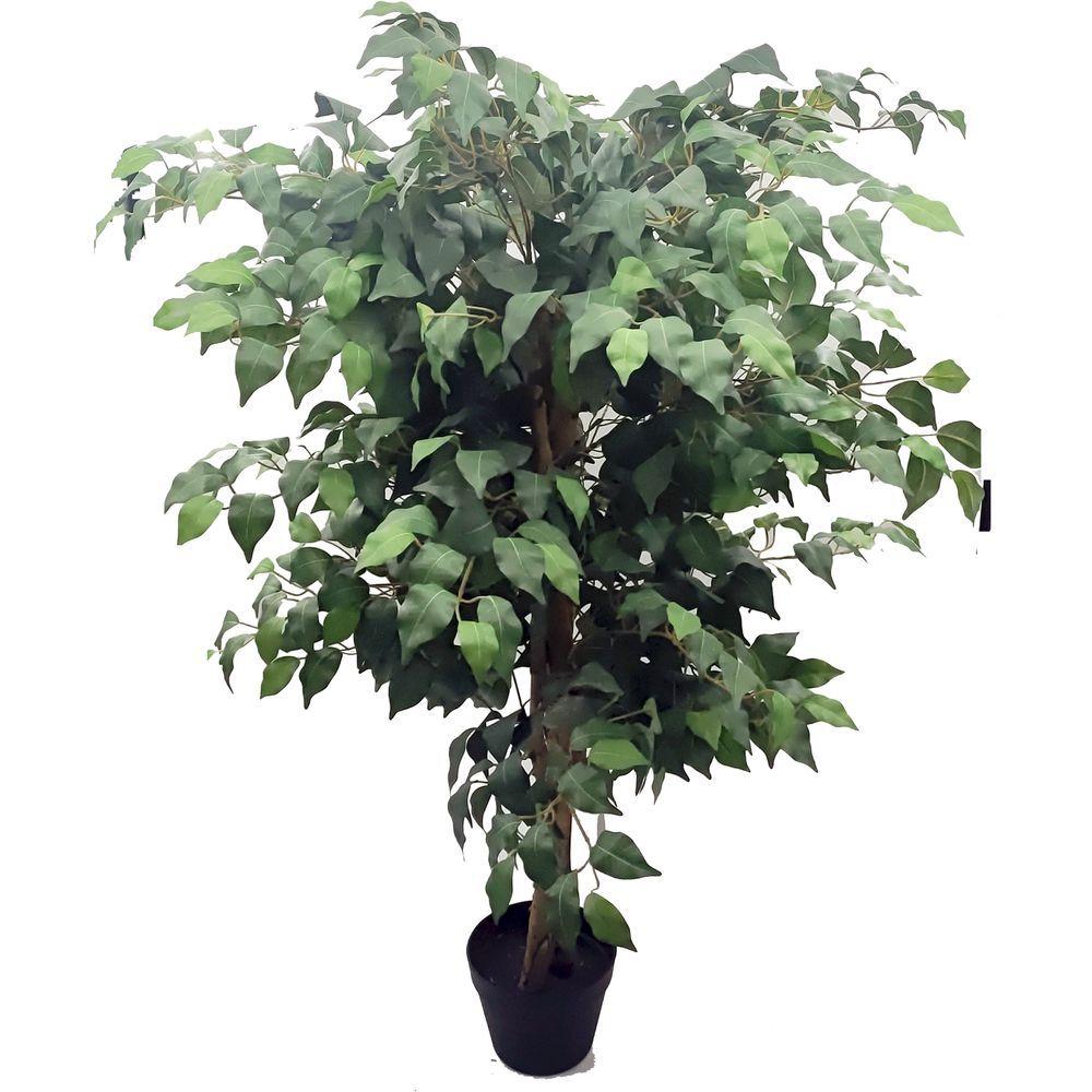 SIL 62108 Vaso Ficus 120Cm