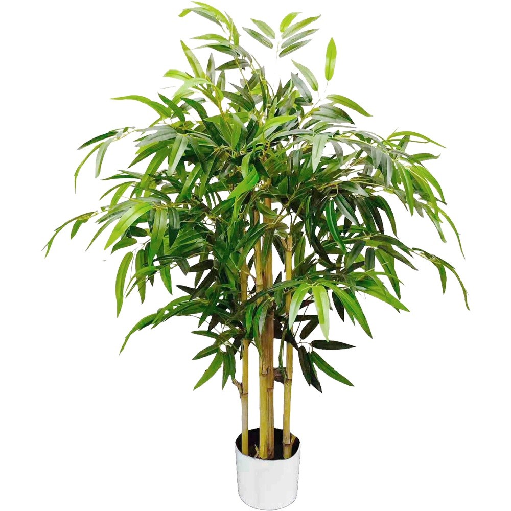 SIL 62798 Bambu' Dorato 150Cm - Oro - Piante | Mikasa