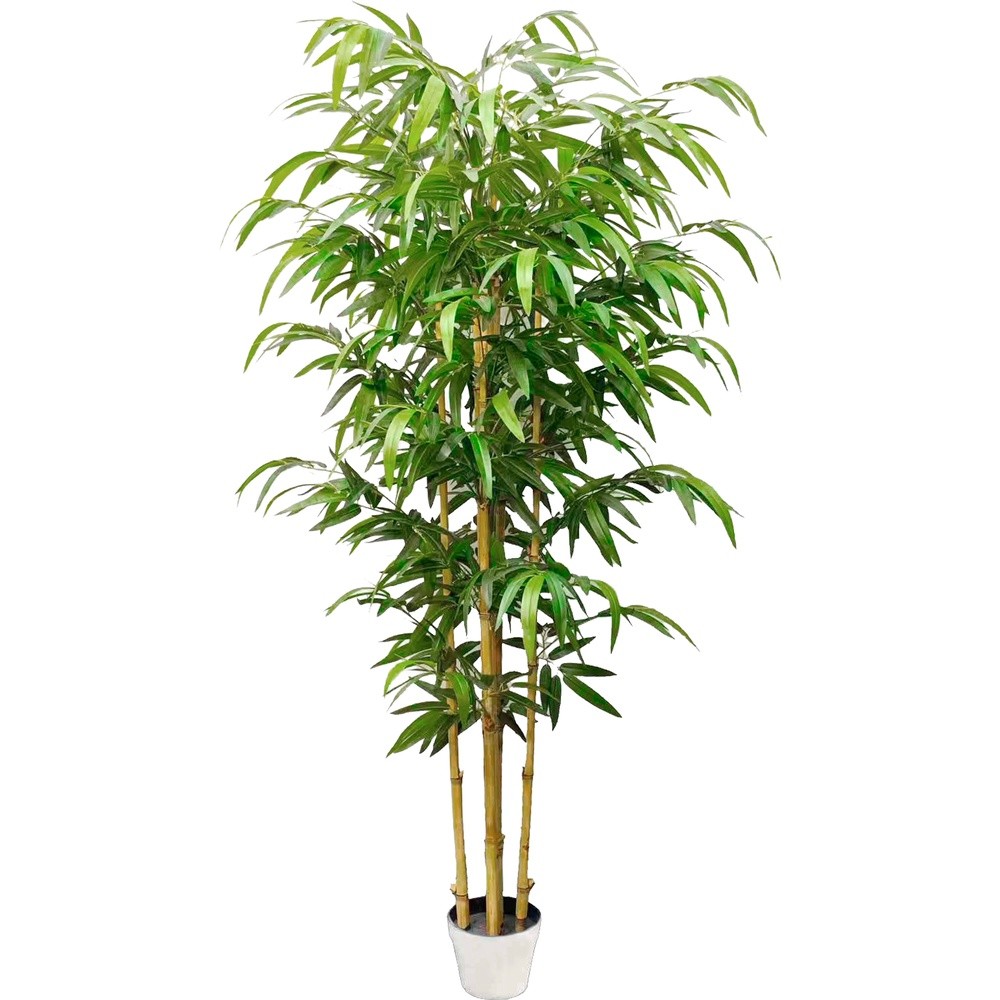 SIL 62799 Bambu' Dorato 180Cm