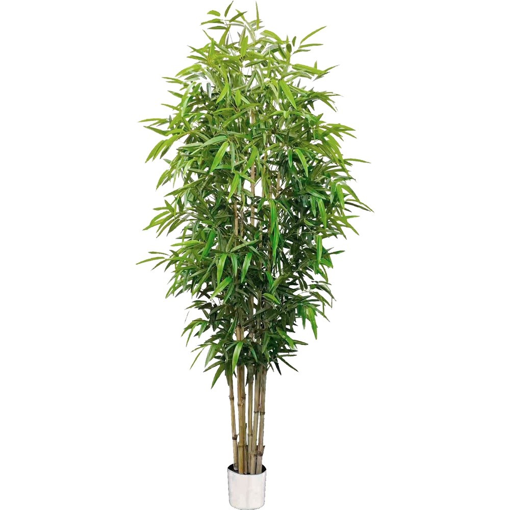 SIL 62800 Bambu' Dorato 210Cm