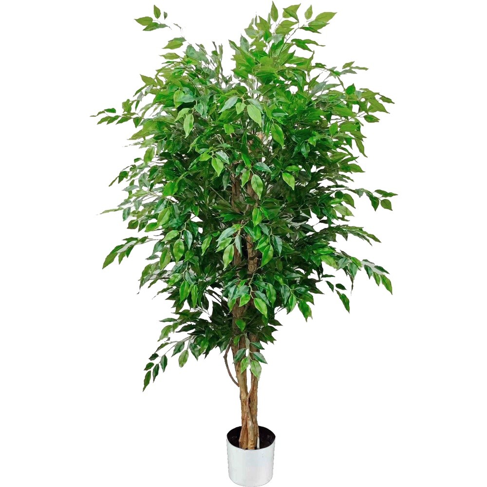 SIL 62802 Ficus Tropical Forest 150Cm
