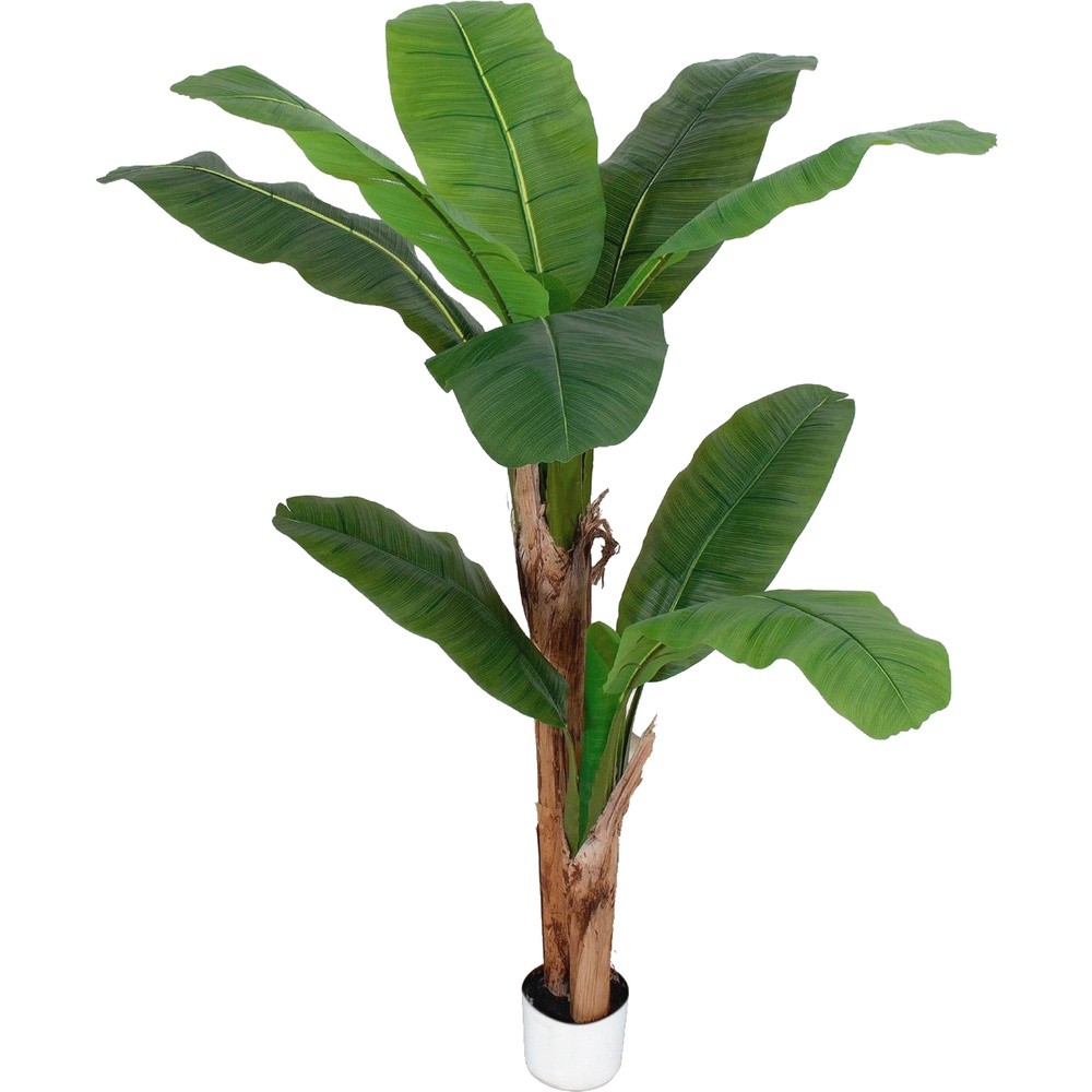 SIL 62809 Banano Tropical Forest 160Cm