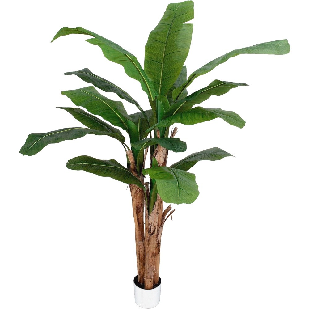 SIL 62810 Banano Tropical Forest 190Cm