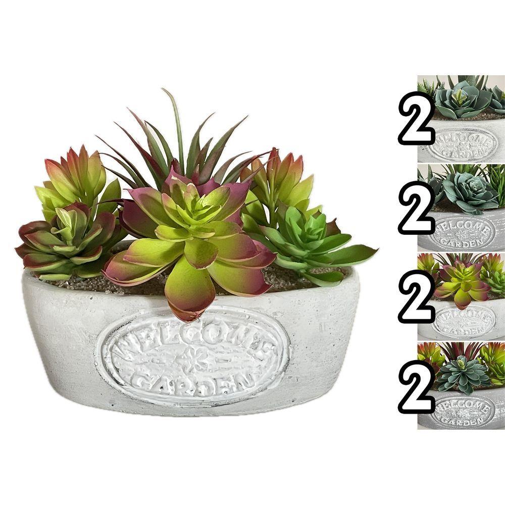 Ter 60328 Vaso Ovale Pianta Grassa Garden 19,5*11*18Cm 4 Ass.
