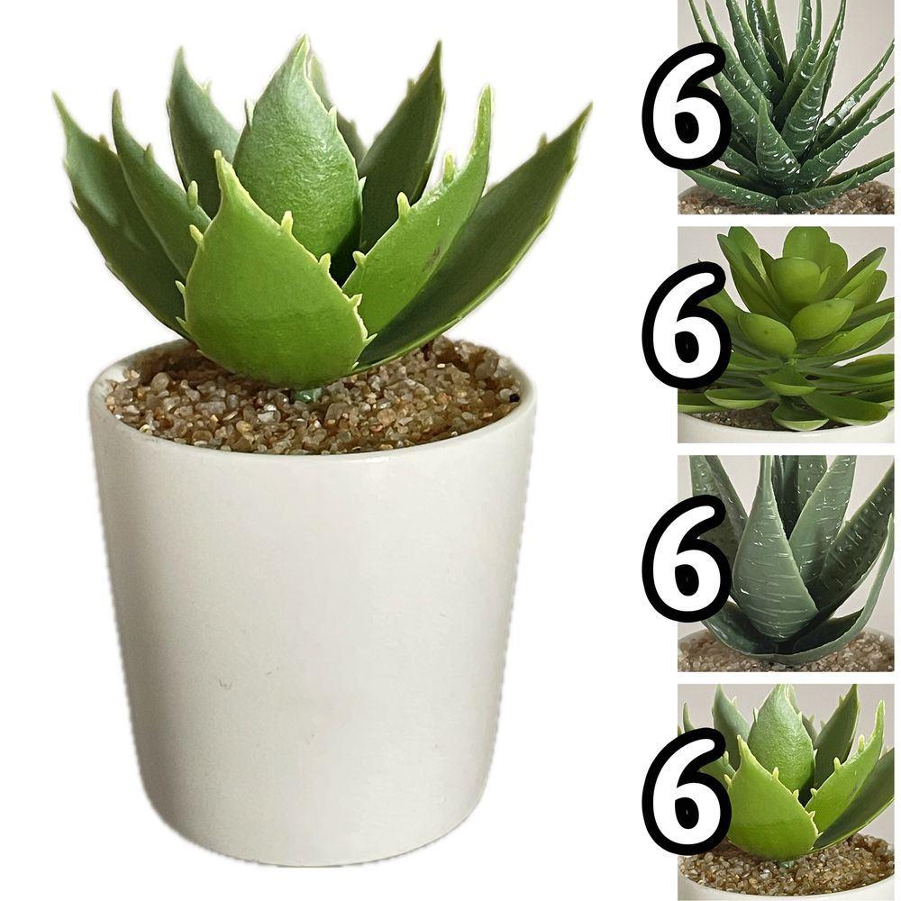 Ter 60329 Piantina Vaso Bianco 6*6*12,8Cm 4 Ass.