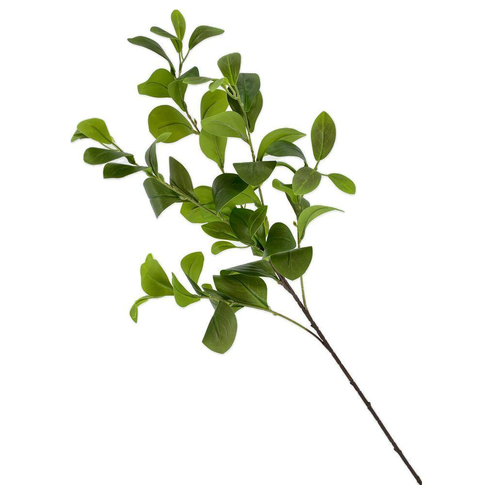 TIG 62186 Stelo Verde Long Stem Natural 90Cm