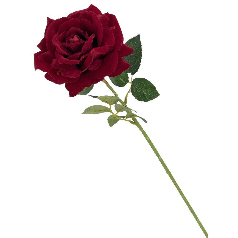 TIG 62460 Rosa Red Velvet Stelo 70Cm