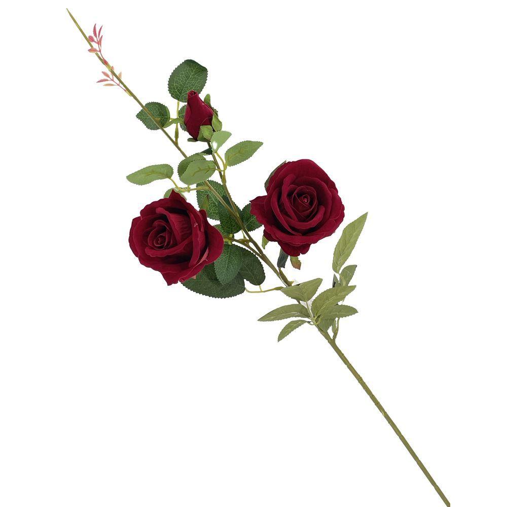TIG 62461 Stelo Red Velvet 2 Rose 90Cm