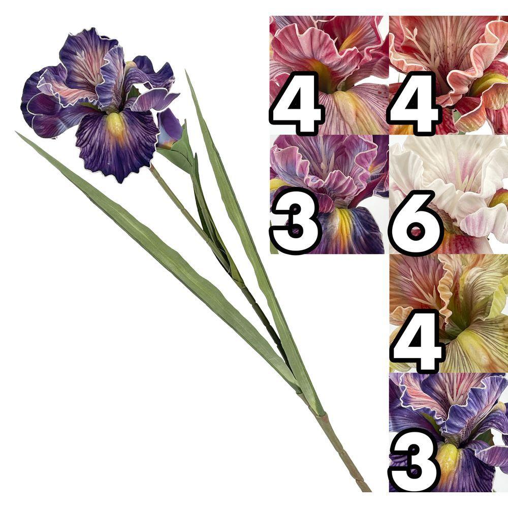 TIG 62463 Iris Big Flower 85Cm 6 Ass.