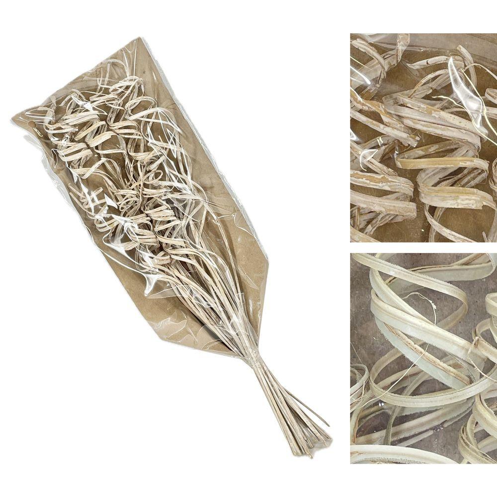 VAC 62434 Bush Decorativo Swirly 55Cm 2 Ass.