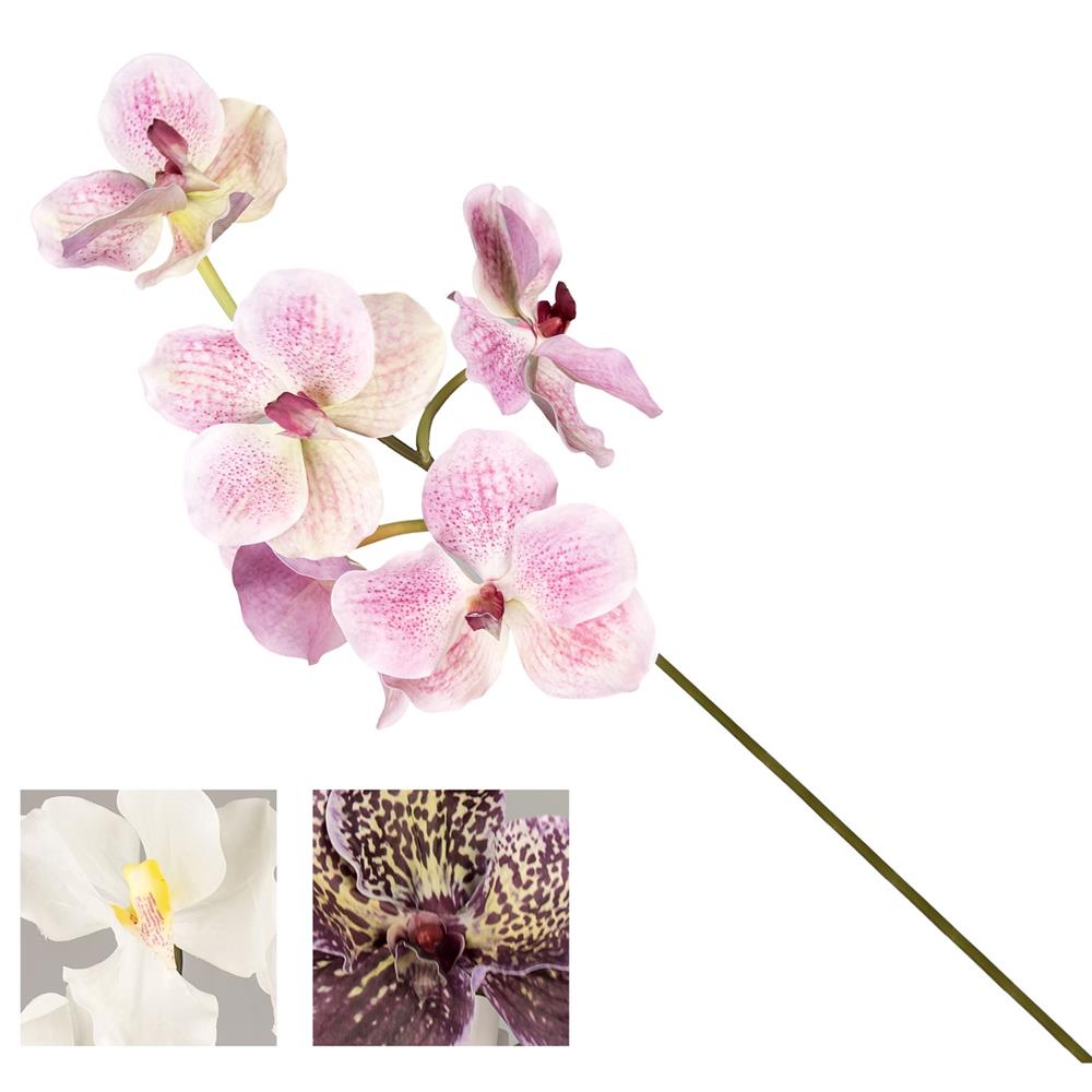 Yim 55254 Stelo Orchidea Thai 73Cm 3Ass.