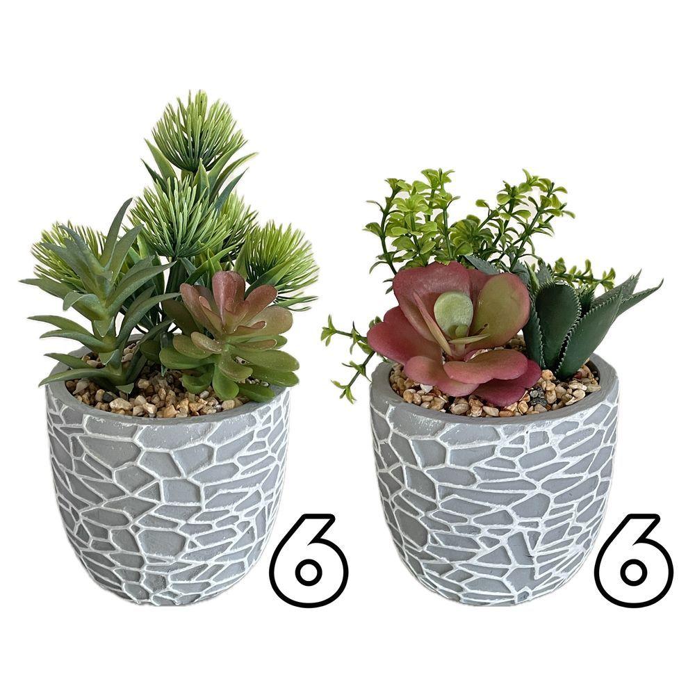 ZEF 62139 Vaso Cement Reticolato 10,5*10,5*19Cm 2 Ass. - Assortito - Piante | Mikasa