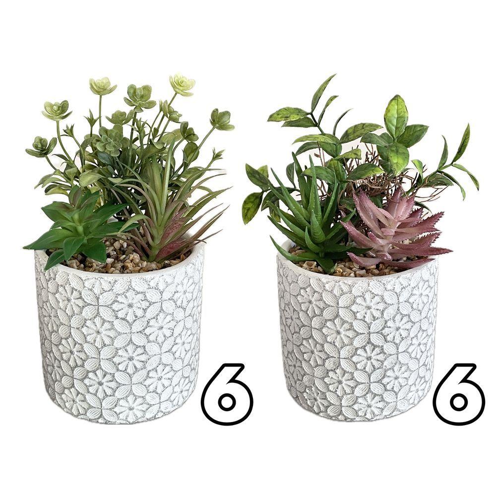 ZEF 62140 Vaso Tile Pianta Grassa 11*11*18Cm 2 Ass. - Assortito - Piante | Mikasa