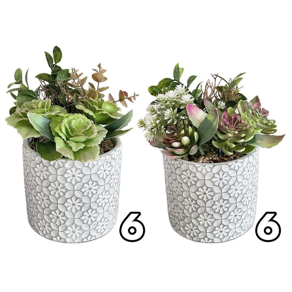 ZEF 62143 Vaso Tile Pianta Grassa 12*12*20Cm 2 Ass.