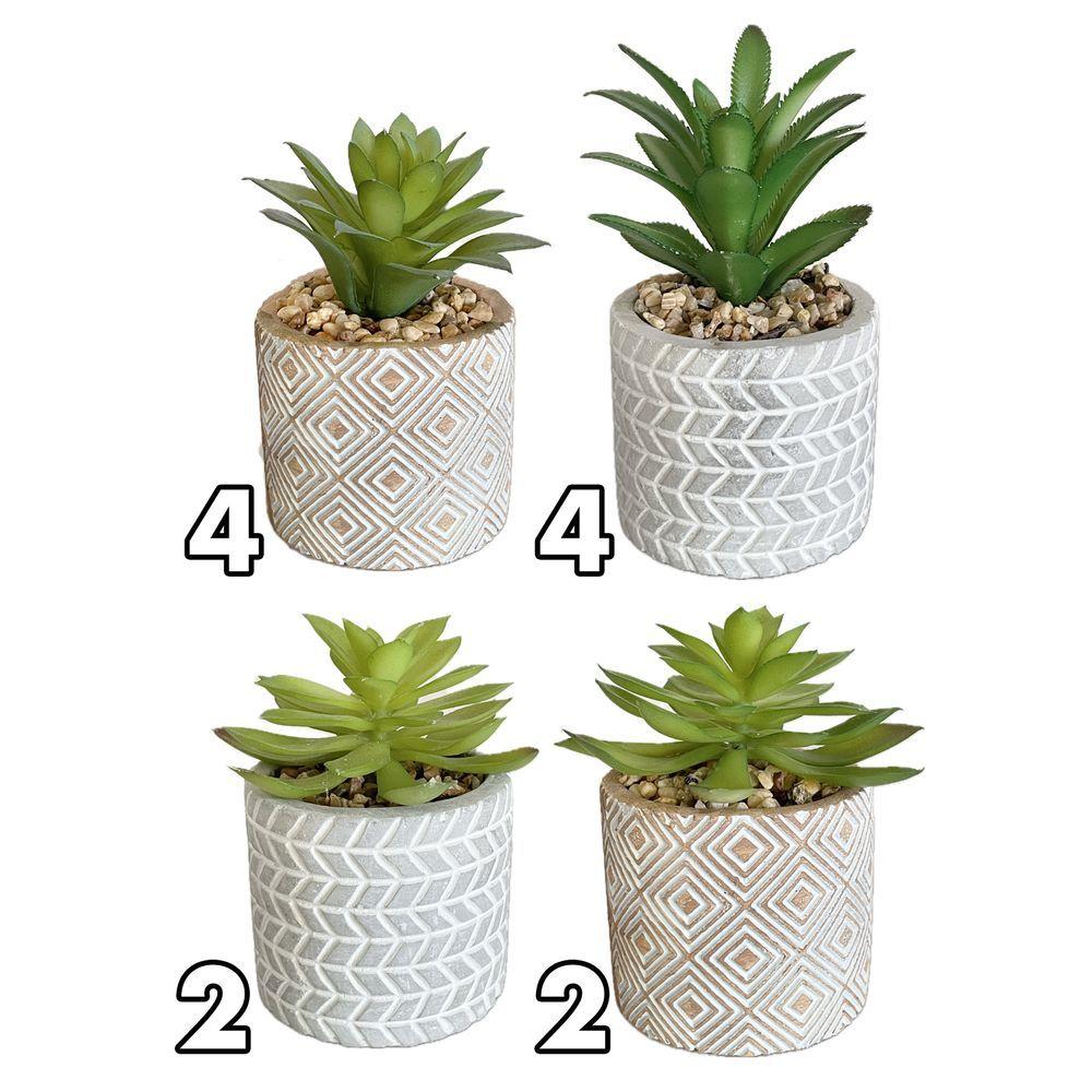 ZEF 62144 Vaso Piantina Grassa Cement 7,5*7,5*12,5Cm 4 Ass.